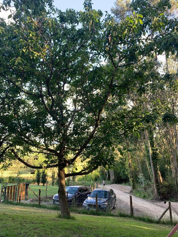 Apartamentos Rurales Las Garzas De Oyambre San Vicente De La Barquera Dış mekan fotoğraf